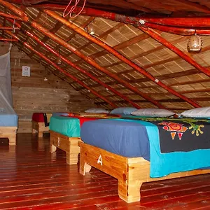 hostel-la-ballena-backpacker.comcaribbean.com/